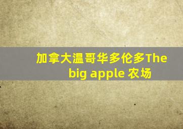 加拿大温哥华多伦多The big apple 农场